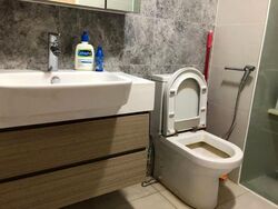 The Lakefront Residences (D22), Condominium #619944321